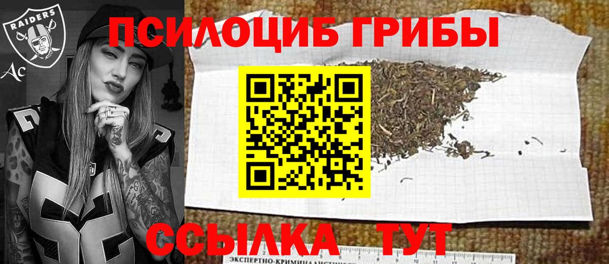 Галлюциногенные грибы Psilocybe Воркута