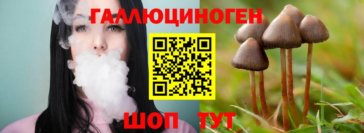 Псилоцибиновые грибы прущие грибы  Псилоцибиновые грибы Psilocybe  Воркута  Вход с VPN 